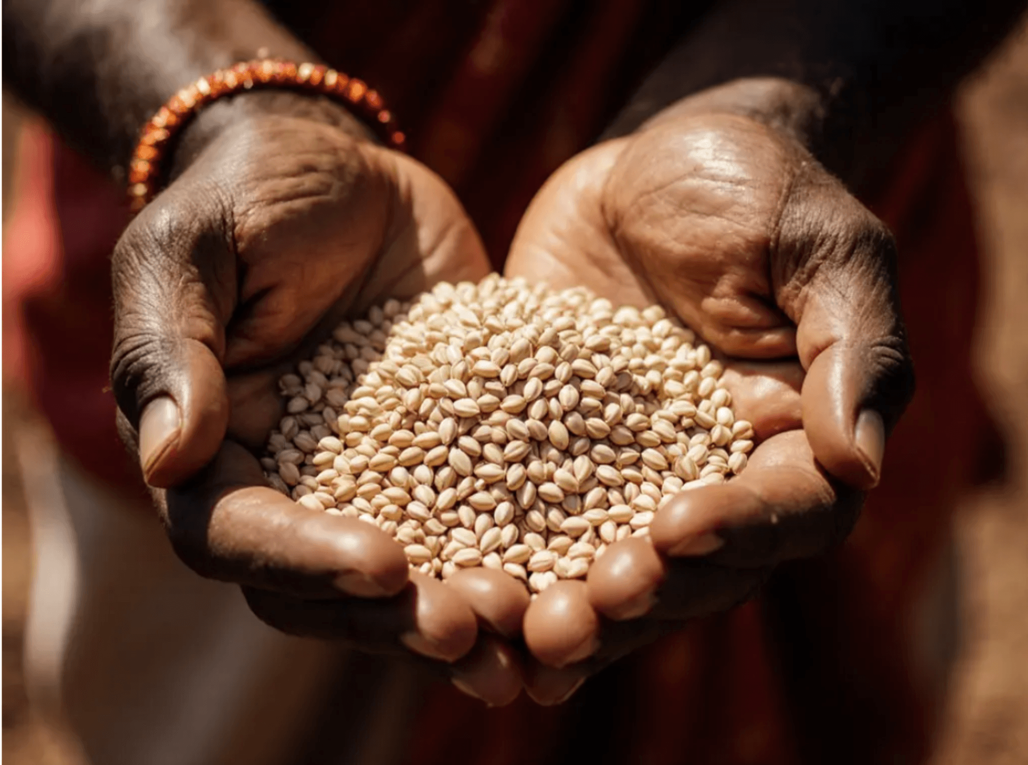 GaonKa Our Story - Authentic Village Kitchen and Organic Farming in Bihar